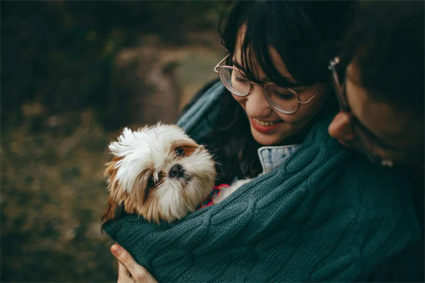 犬のハートワーム陽性とは？症状から治療・予防まで徹底解説